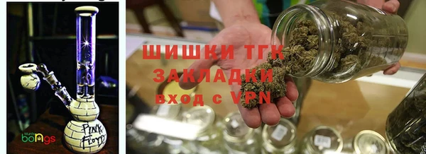 сатива Алексин