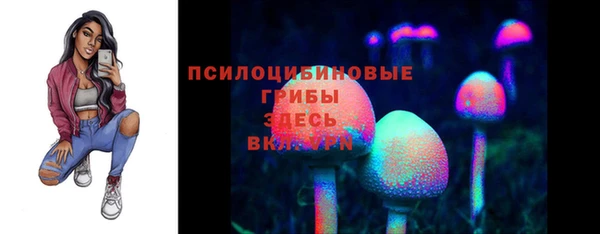 таблы Алзамай